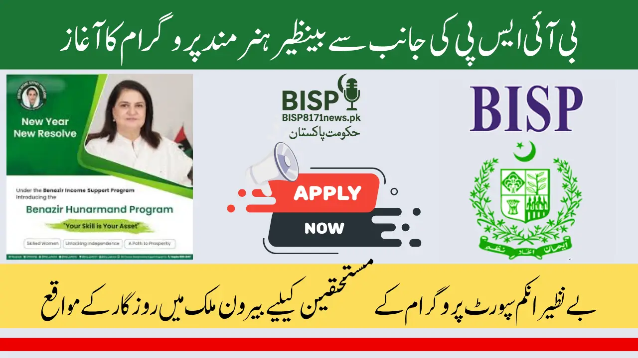 Benazir Hunarmand Program Launched by BISP | Zardari to Inaugurate Hunarmand Portal on June 21