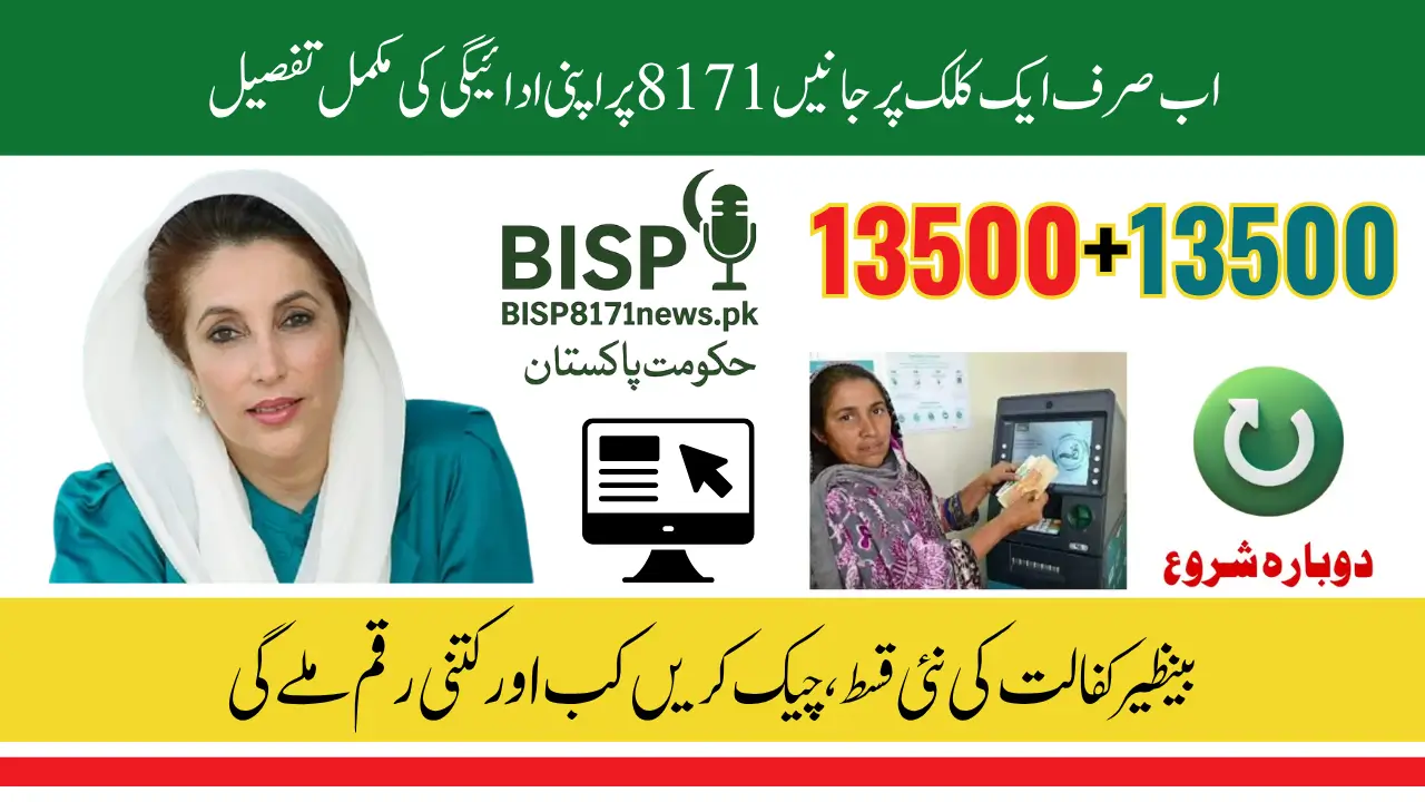 Unlock BISP Web Portal 8171 to Check Your CNIC Status & Payment Updates